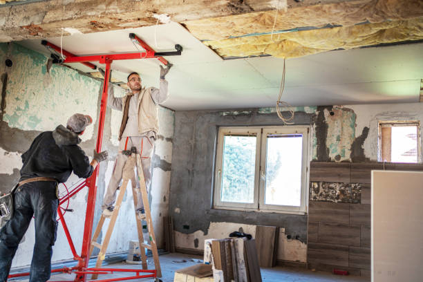 Best Best Insulation Companies  in Coal City, IL