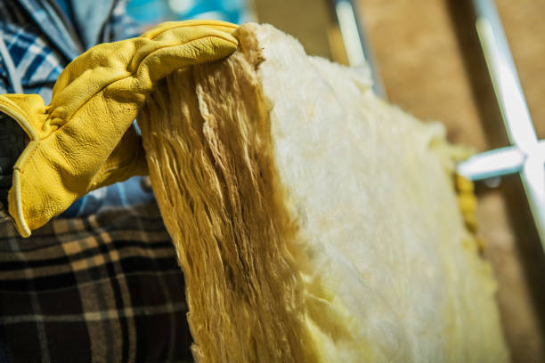 Insulation Contractors for Homes in Coal City, IL