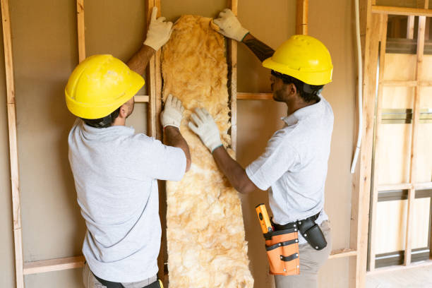 Best Insulation Contractors for Homes  in Coal City, IL